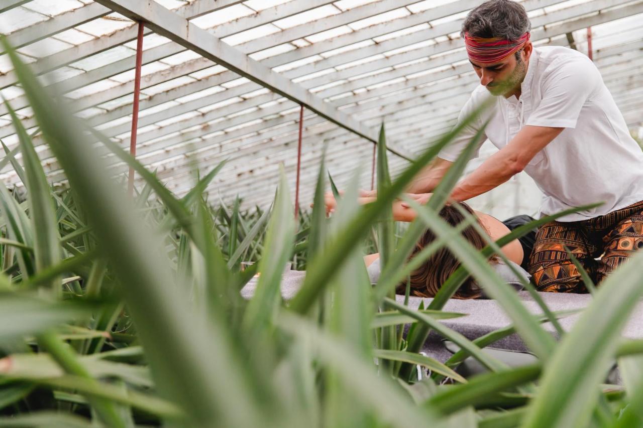 Herdade Do Ananas Πόντα Ντελγκάντα Εξωτερικό φωτογραφία