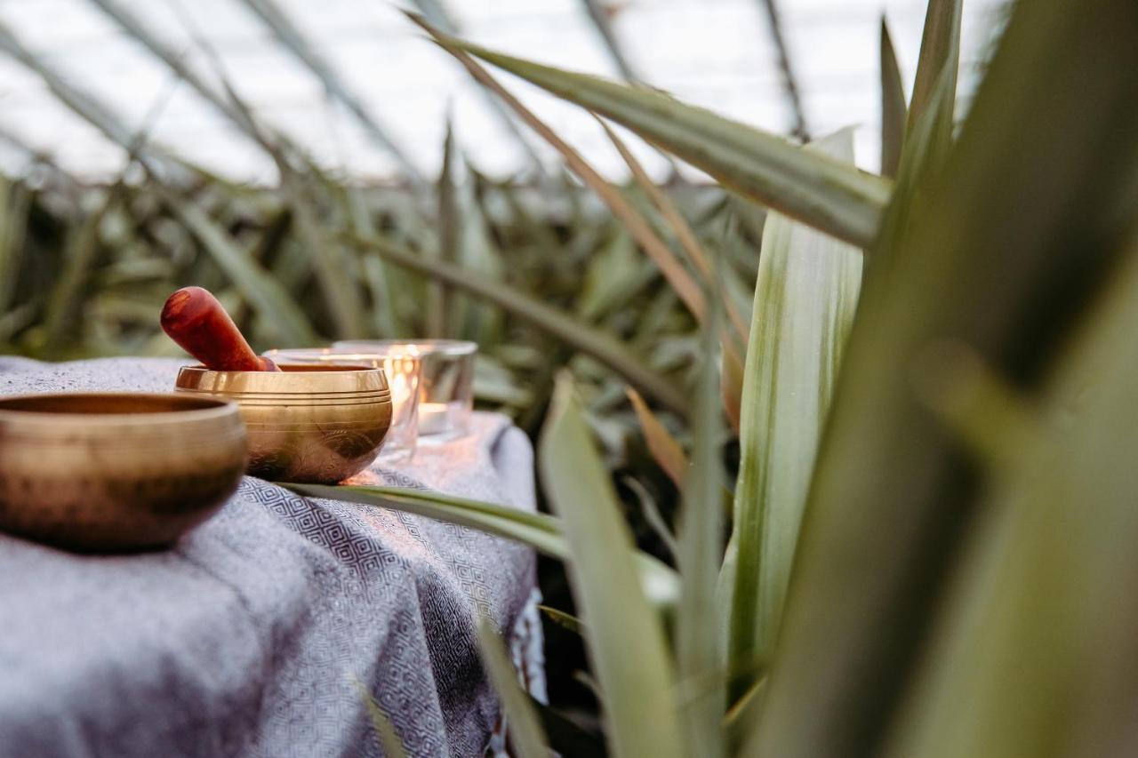 Herdade Do Ananas Πόντα Ντελγκάντα Εξωτερικό φωτογραφία