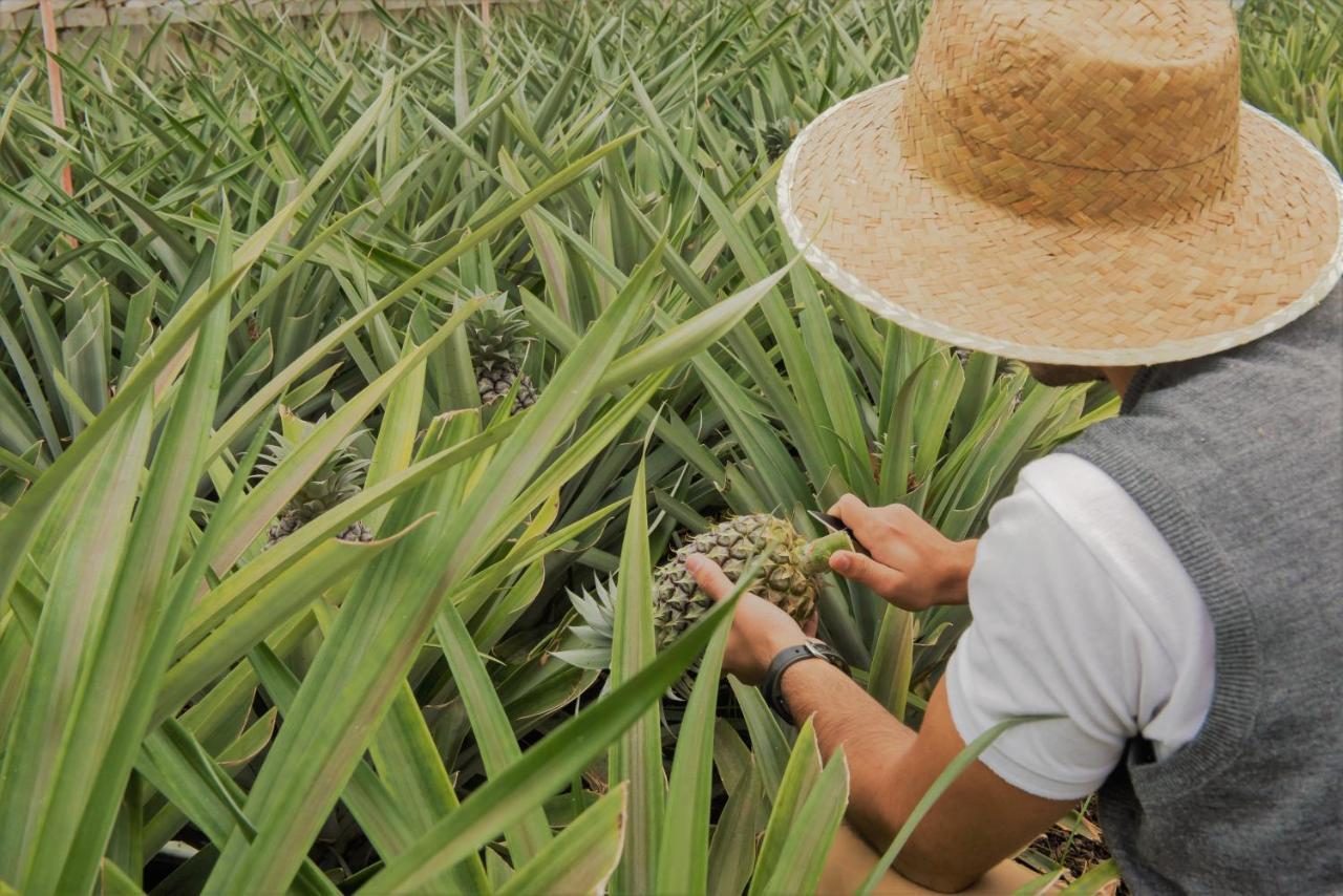 Herdade Do Ananas Πόντα Ντελγκάντα Εξωτερικό φωτογραφία